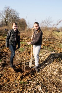 2014-03-12boomplantdagBergharen-foto Ton Rothengatter (3)