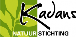 Kadans-logo