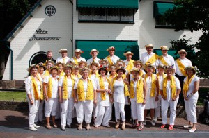 vrolijkenoodsterrenbosch