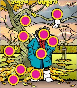 beeld vogelpoep oplossing