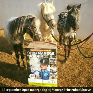 open-dag-manege-pbh