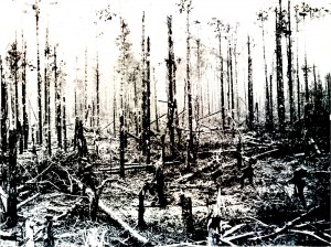Krieg am Niederrhein Reichswald in Duitsland.