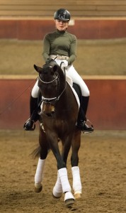 Suzie PSV paardensport